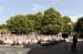 110807-02-PlantenUndBlomen.jpg